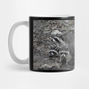 Raccoon Family Mug